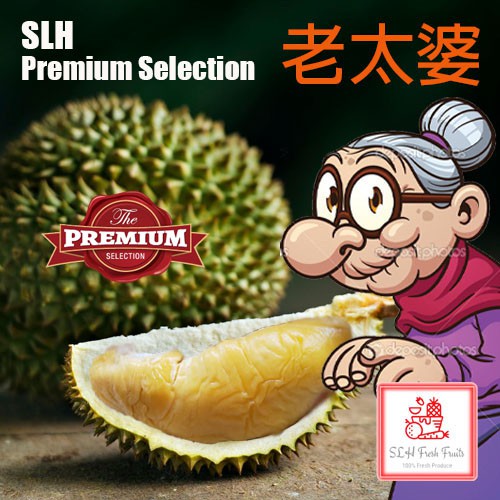 [Old Tree] SLH Fresh Durian Delivery 400/600g/RP/D13/SK/MSW/JF/BT